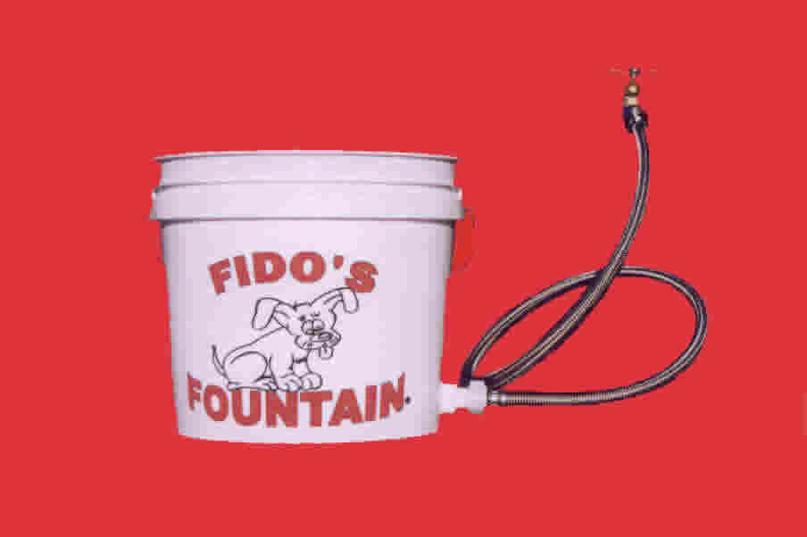 Fido's Fountain